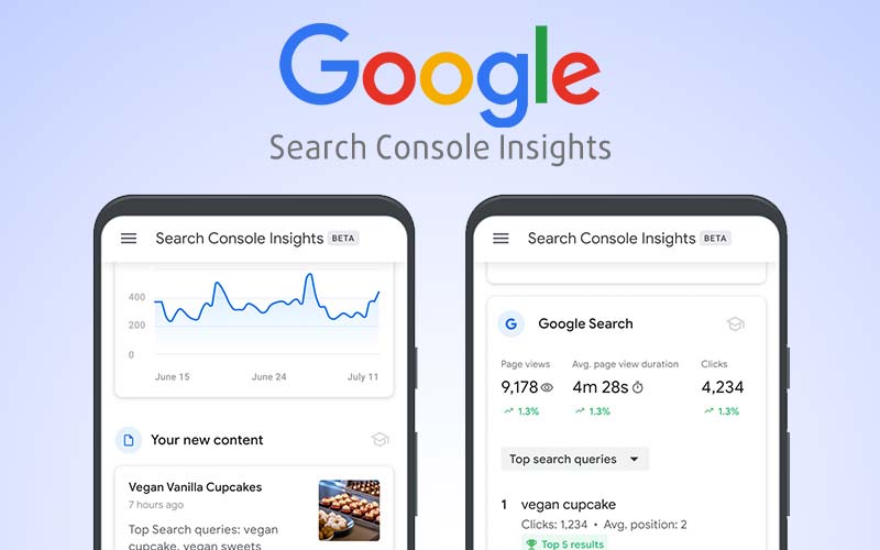 Google Insight for search
