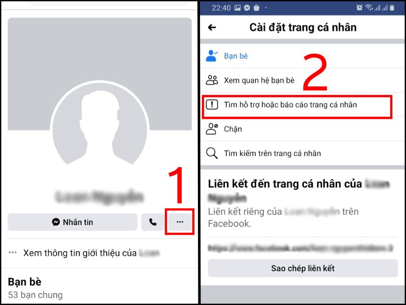 bi-report-facebook